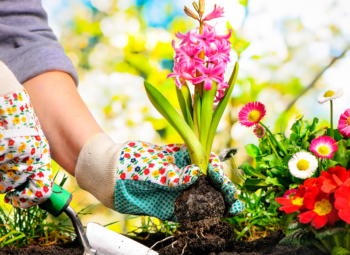 5 Tips for Gardening This Spring