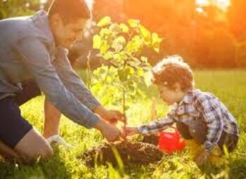 Benefits of tree planting